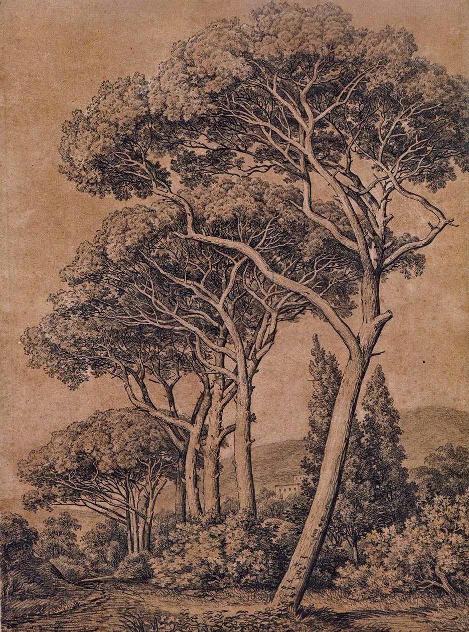 Schirmpinien 1791 by Johann Christian Reinhart