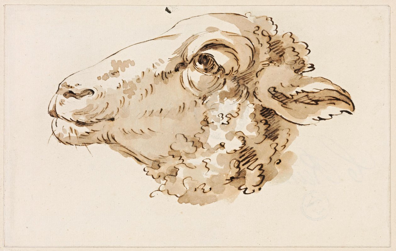 Head of a Sheep Facing Left by Johann Christian Reinhart