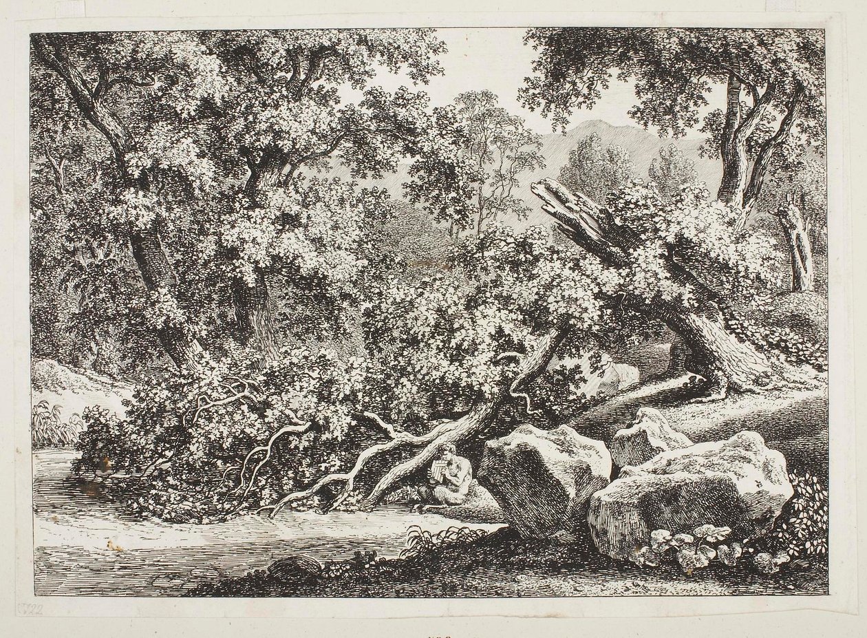 Woodland Scene with Broken Oak by Johann Christian Reinhart
