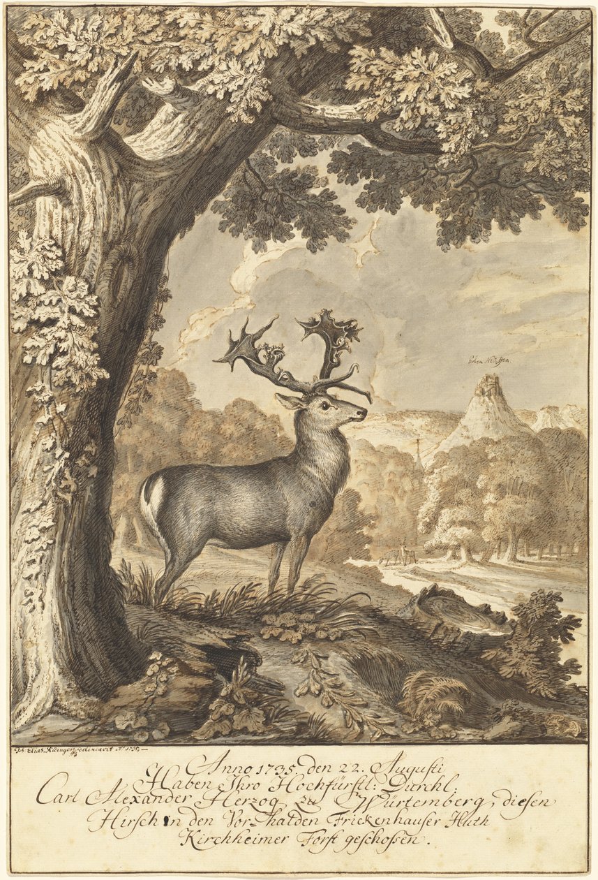 A Stag beneath a Mighty Oak by Johann Elias Ridinger