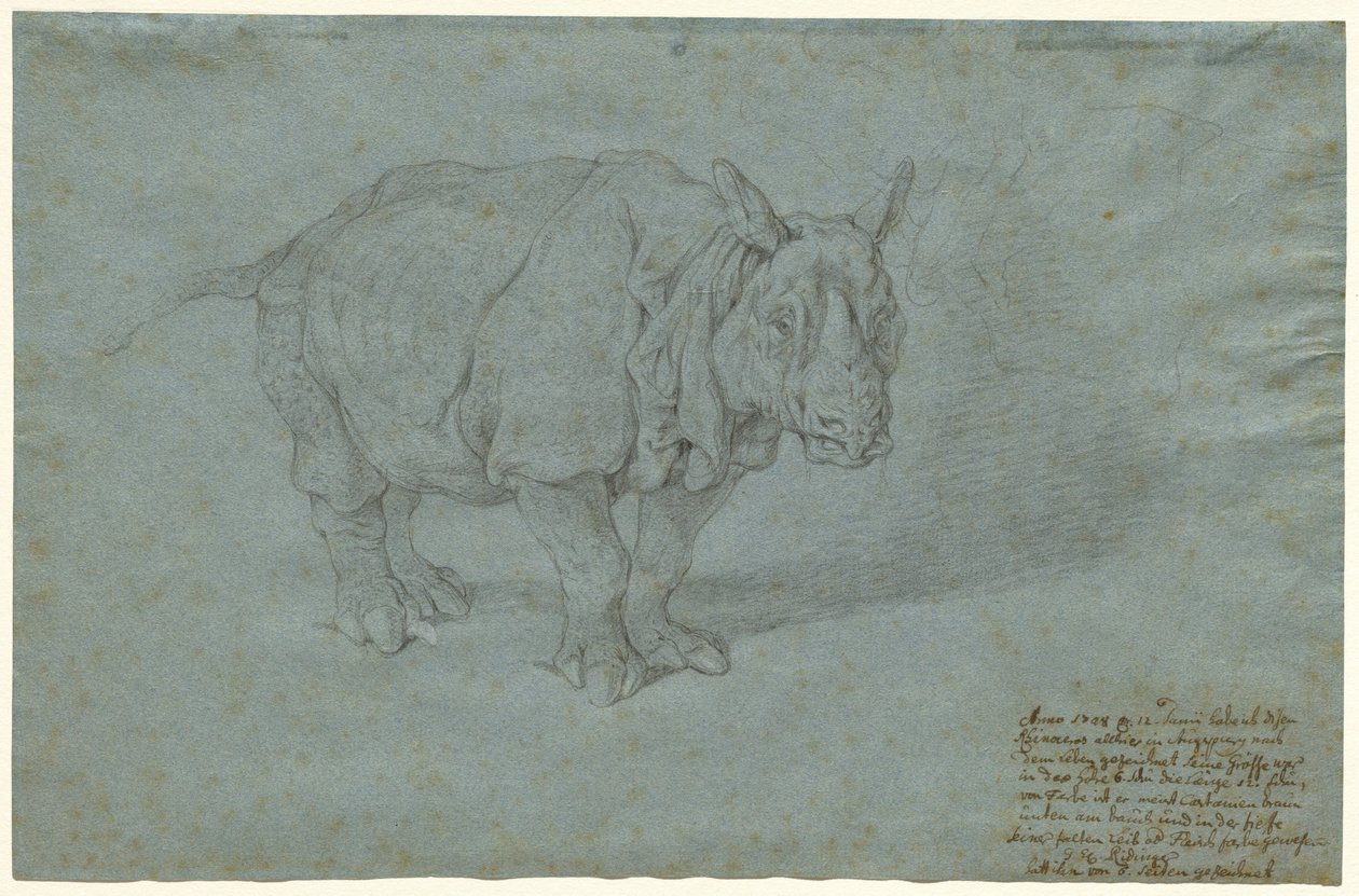 The Rhinoceros Miss Clara by Johann Elias Ridinger