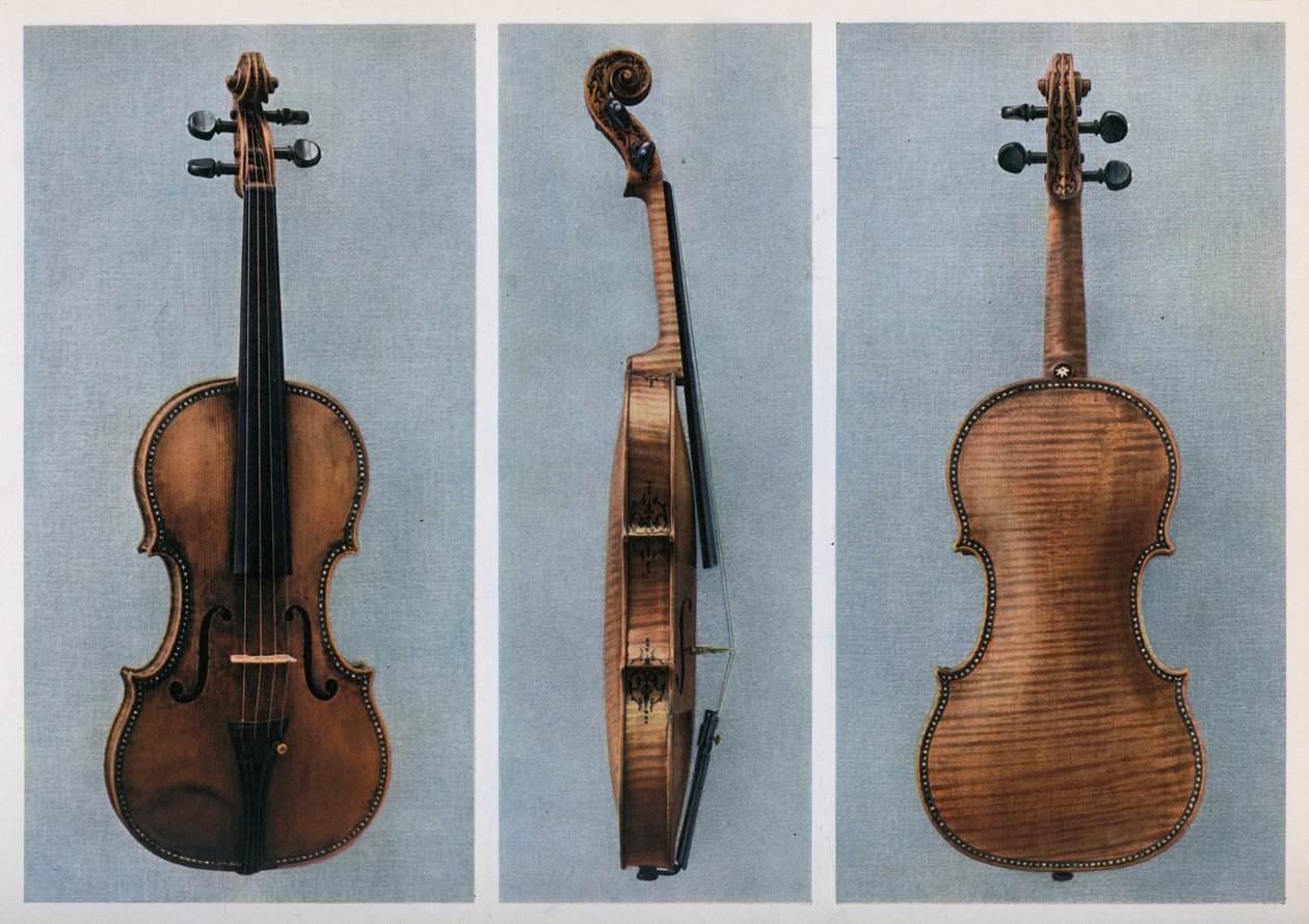 Violin, Nicola Amati, Cremona, Seventeenth Century by Johann Georg Platzer