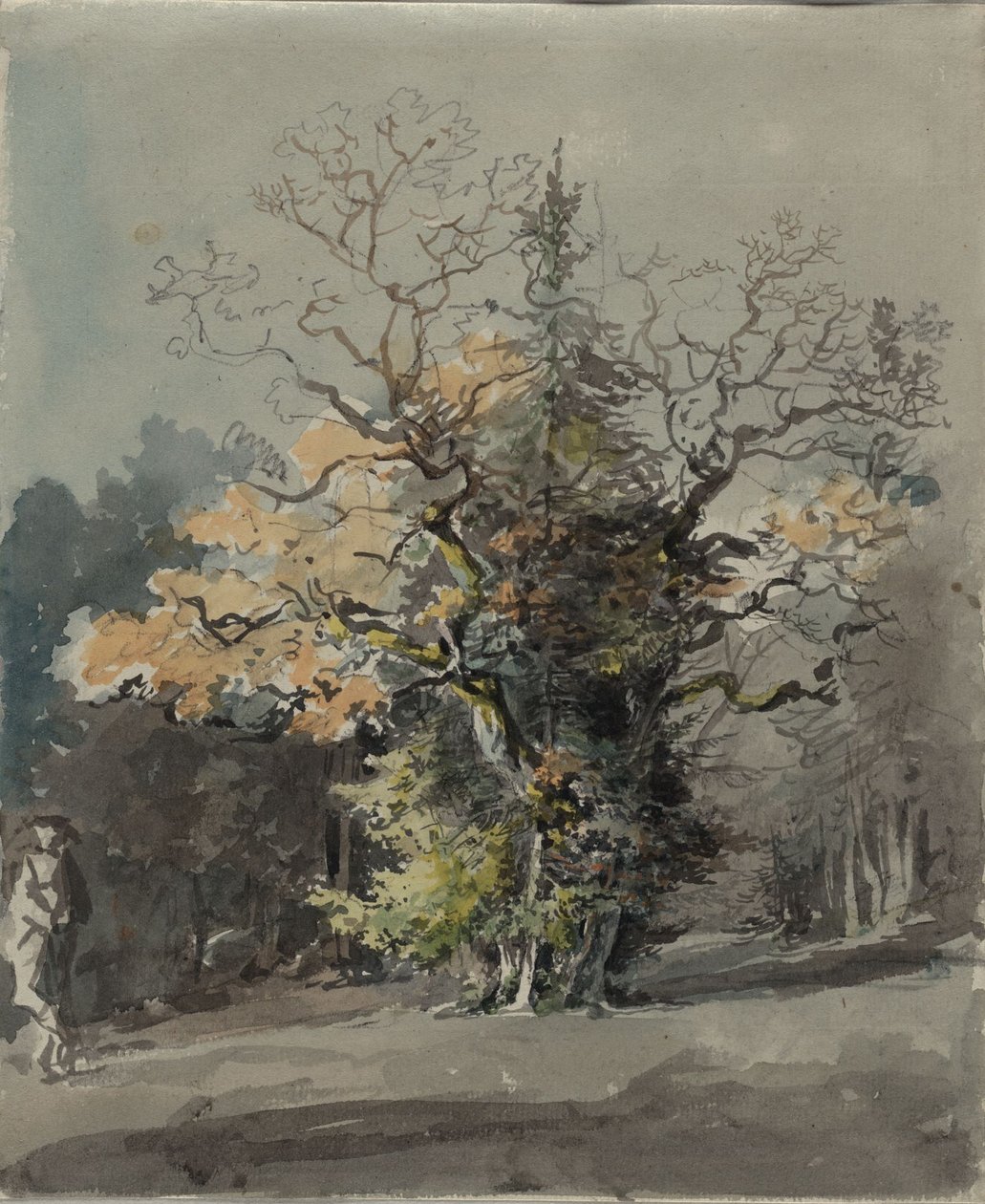 Group of Trees in Front of a Forest by Johann Georg von Dillis