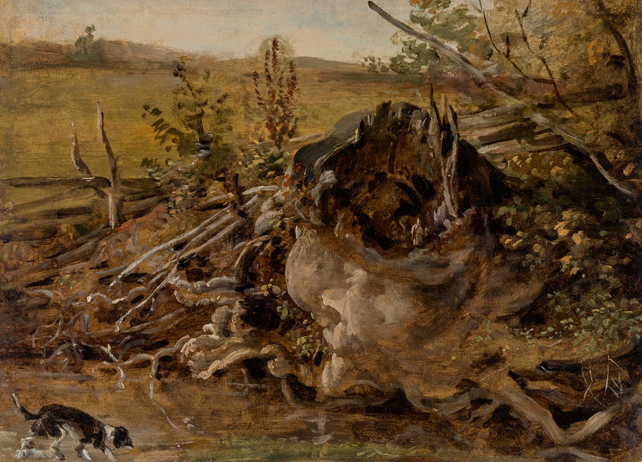 Modern Tree Stump and Hunting Dog by Johann Georg von Dillis