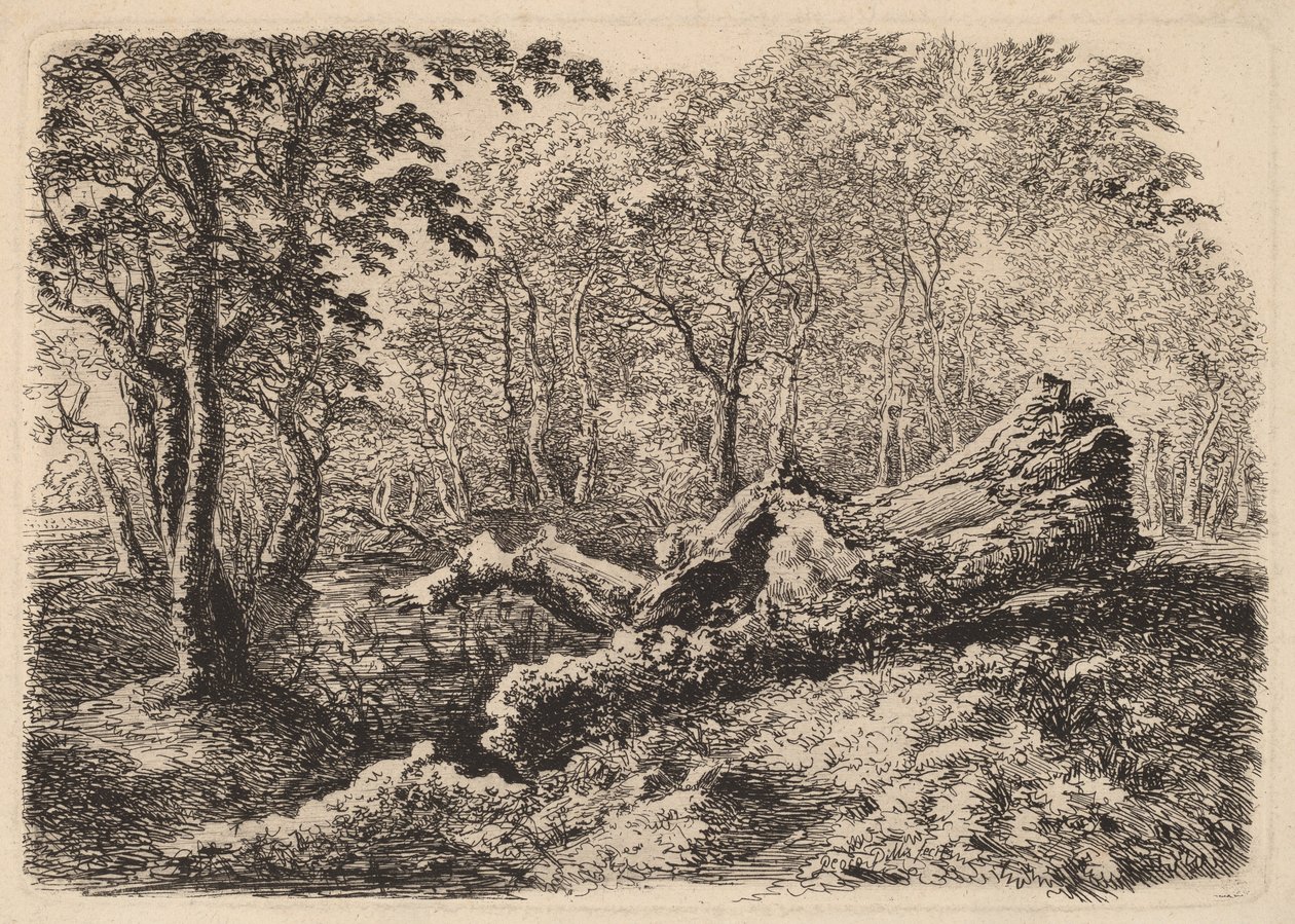 Mouldering Tree Trunk, 1794 by Johann Georg von Dillis
