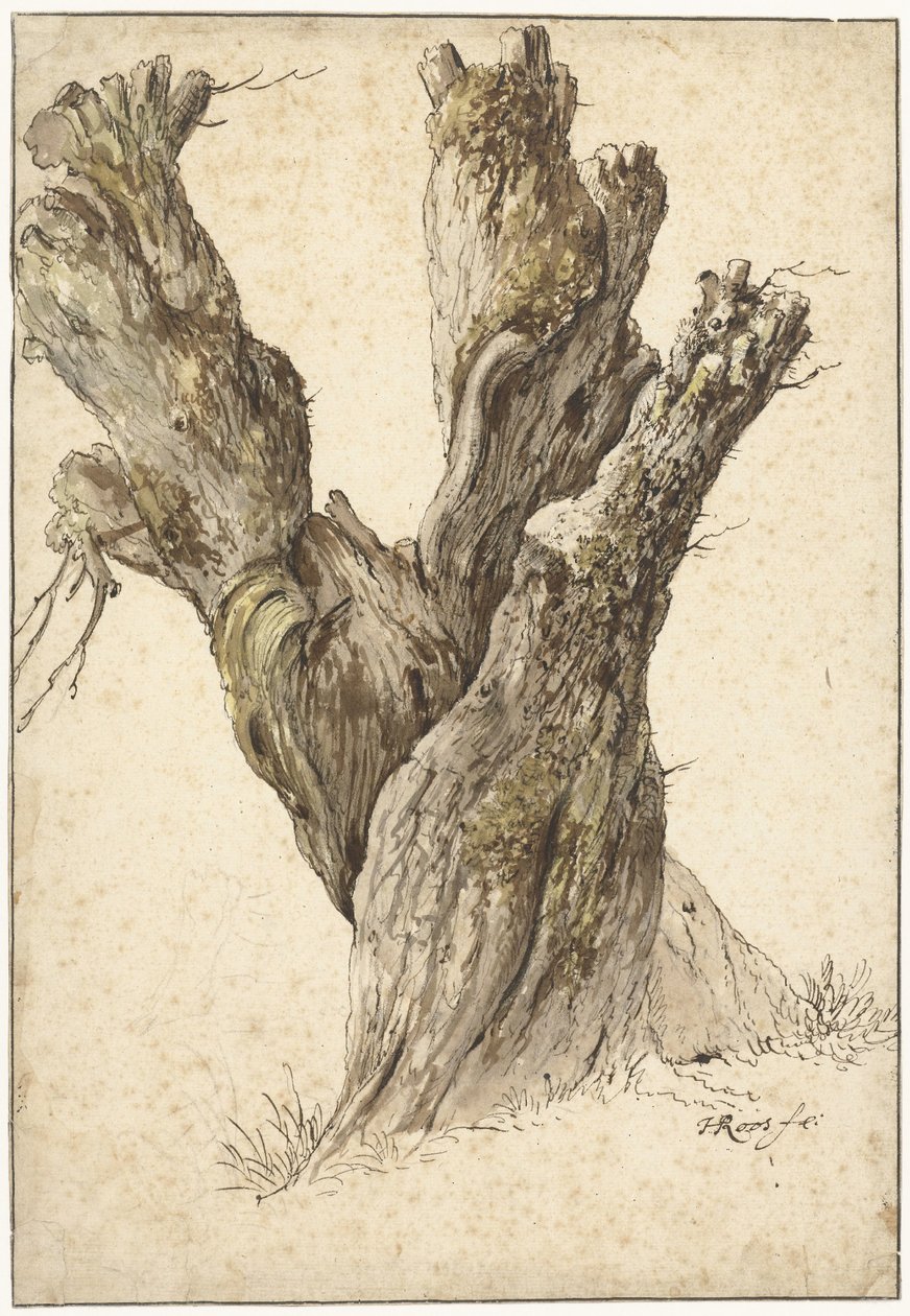 A Pollard Willow by Johann Heinrich Roos