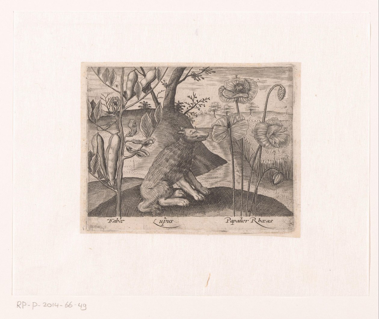 Series of Prints with Flowers and Animals in a Landscape by Johann Hogenberg