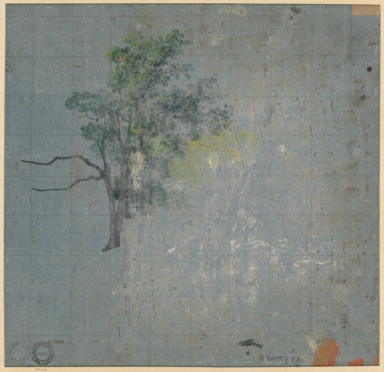 Tree Studies (verso) by Johann Jacob Dorner