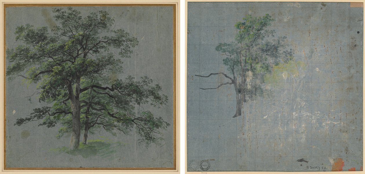Two Trees (recto) Tree Studies (verso) by Johann Jacob Dorner