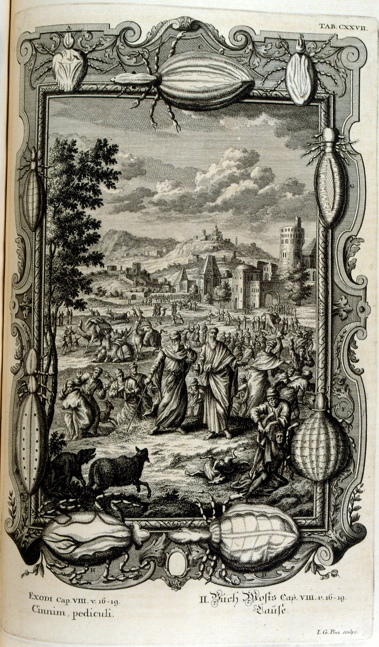 Plague of Lice and Midges by Johann Jakob Scheuchzer