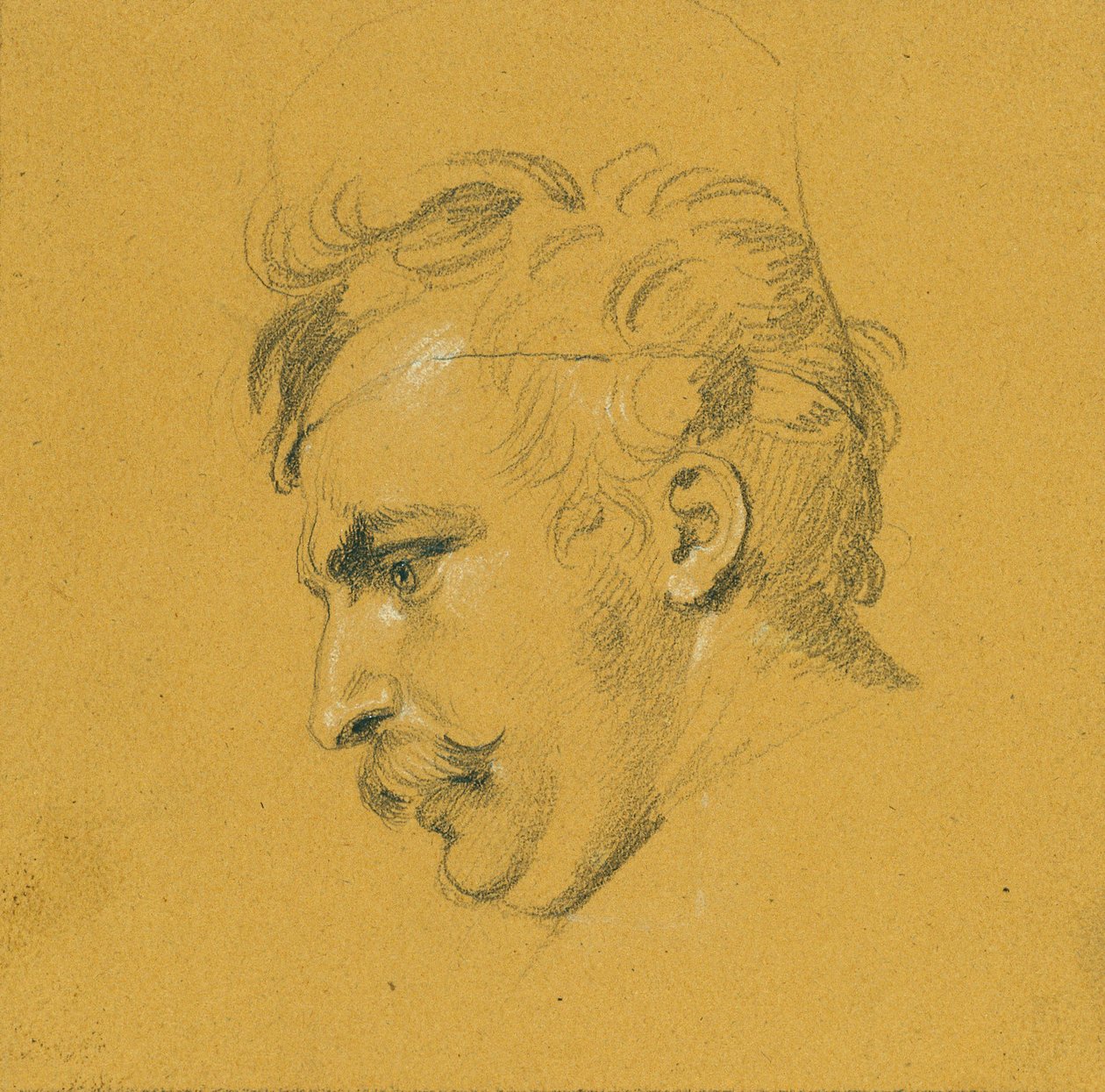 Portrait Study for 