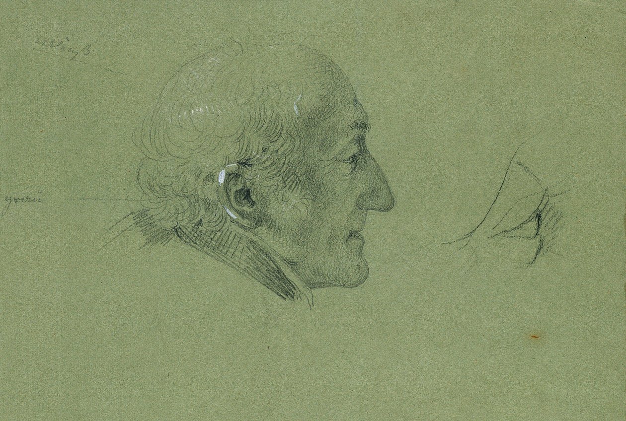 Portrait Study for 