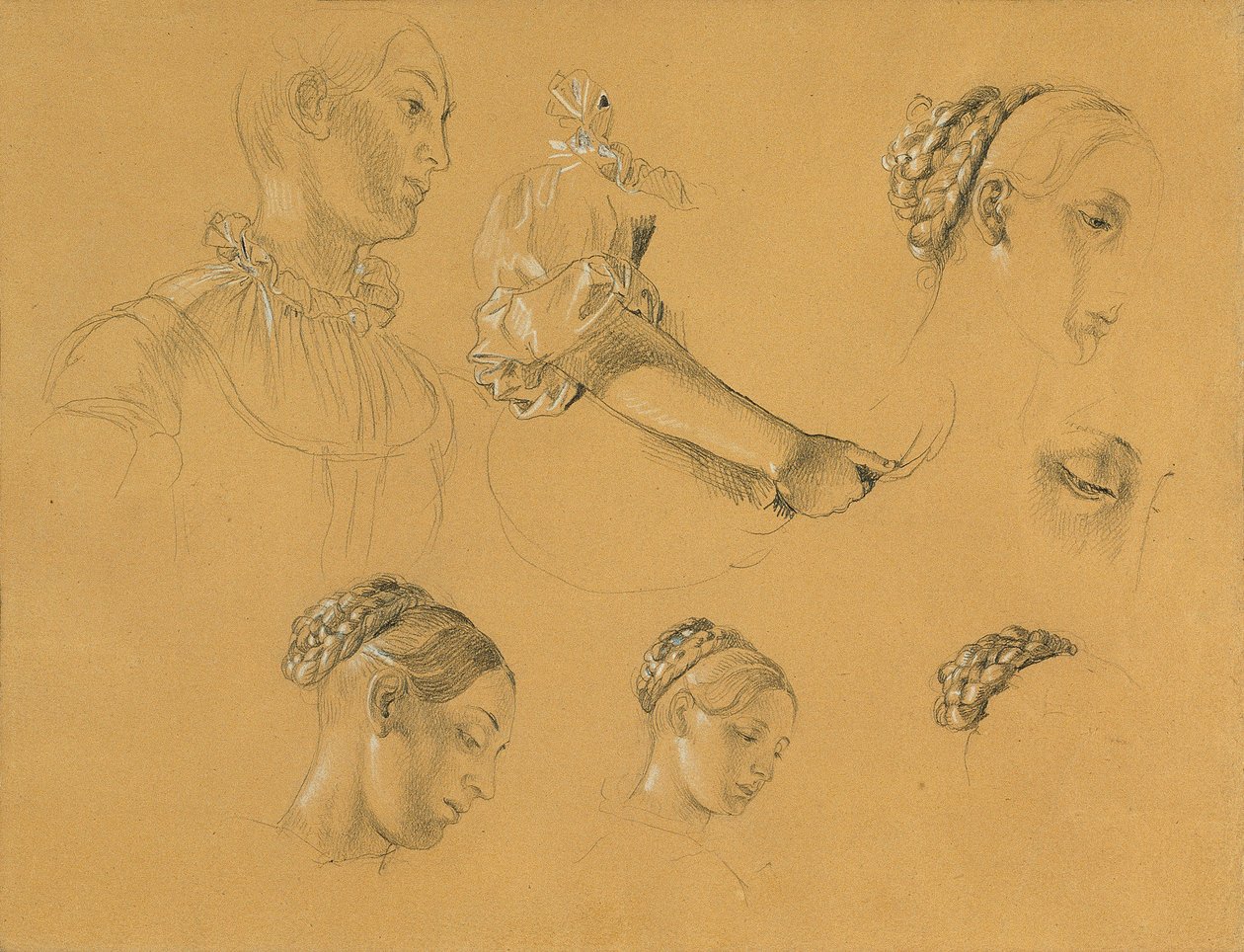 Study for 