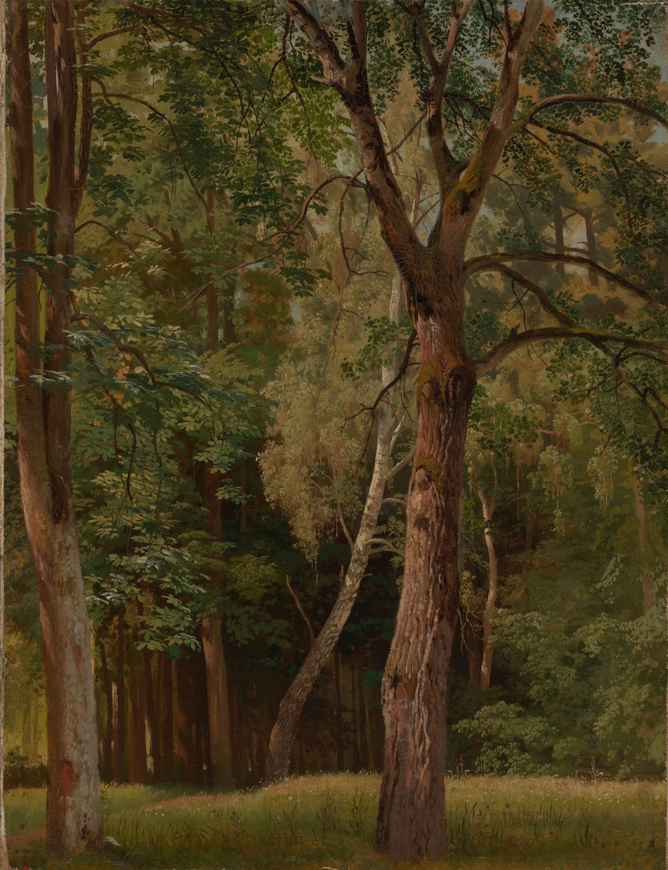 Deciduous Forest with Chestnuts and Birches by Johann Wilhelm Schirmer
