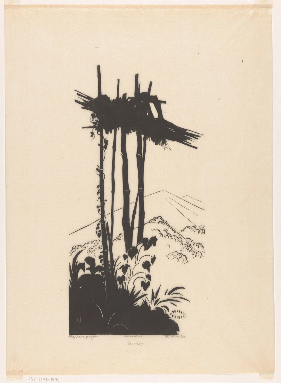 Papua Graph by Johannes Frederik Engelbert ten Klooster (signed by artist)