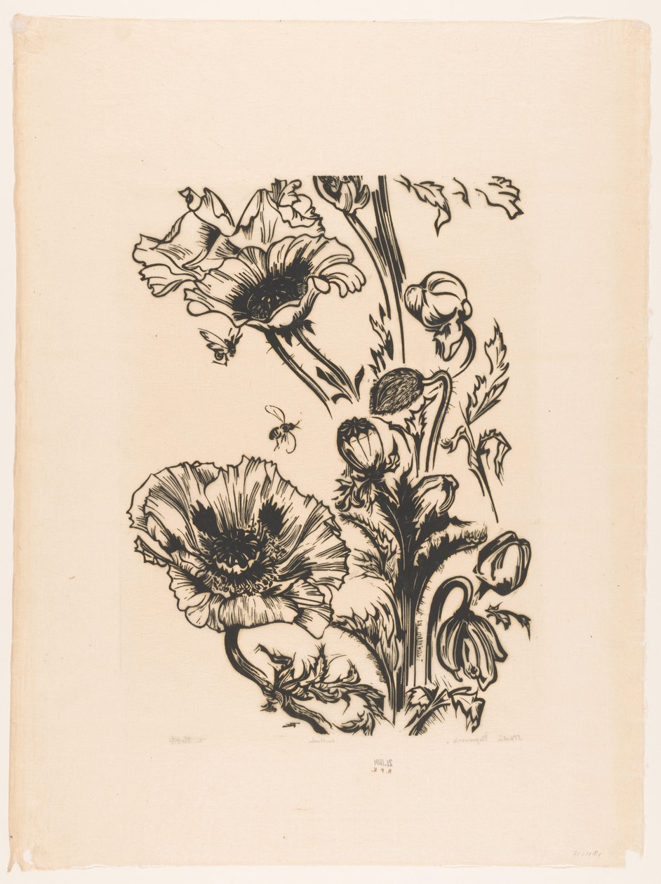Study of Poppies by Johannes Frederik Engelbert ten Klooster (signed by artist)