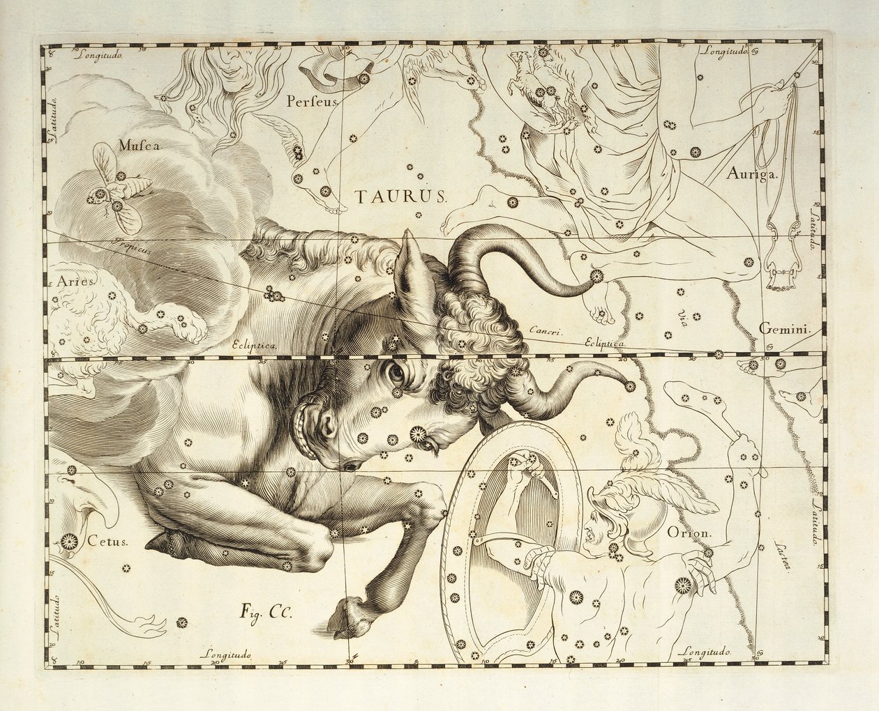 Taurus, constellation of Taurus, engraving from celestial atlas Firmamentum Sobiescianum sive Uronographia, by Johann Hevelius by Johannes Hevelius