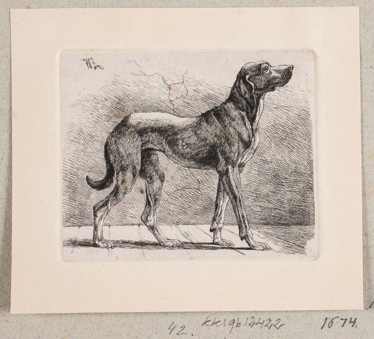 A Standing Dog by Johannes Wilhelm Zillen