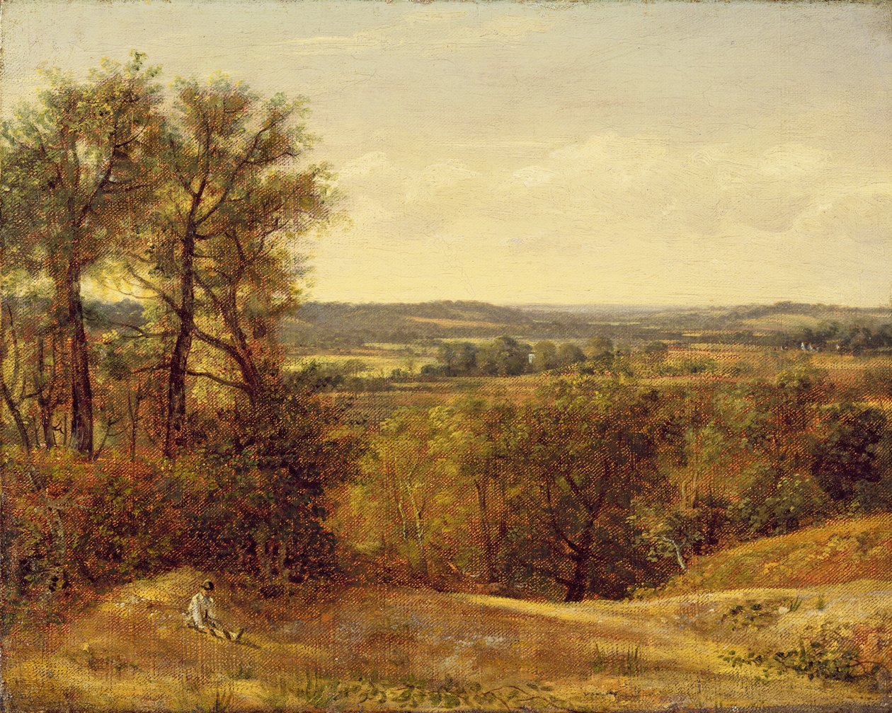 Dedham Vale by John Constable: Buy fine art print