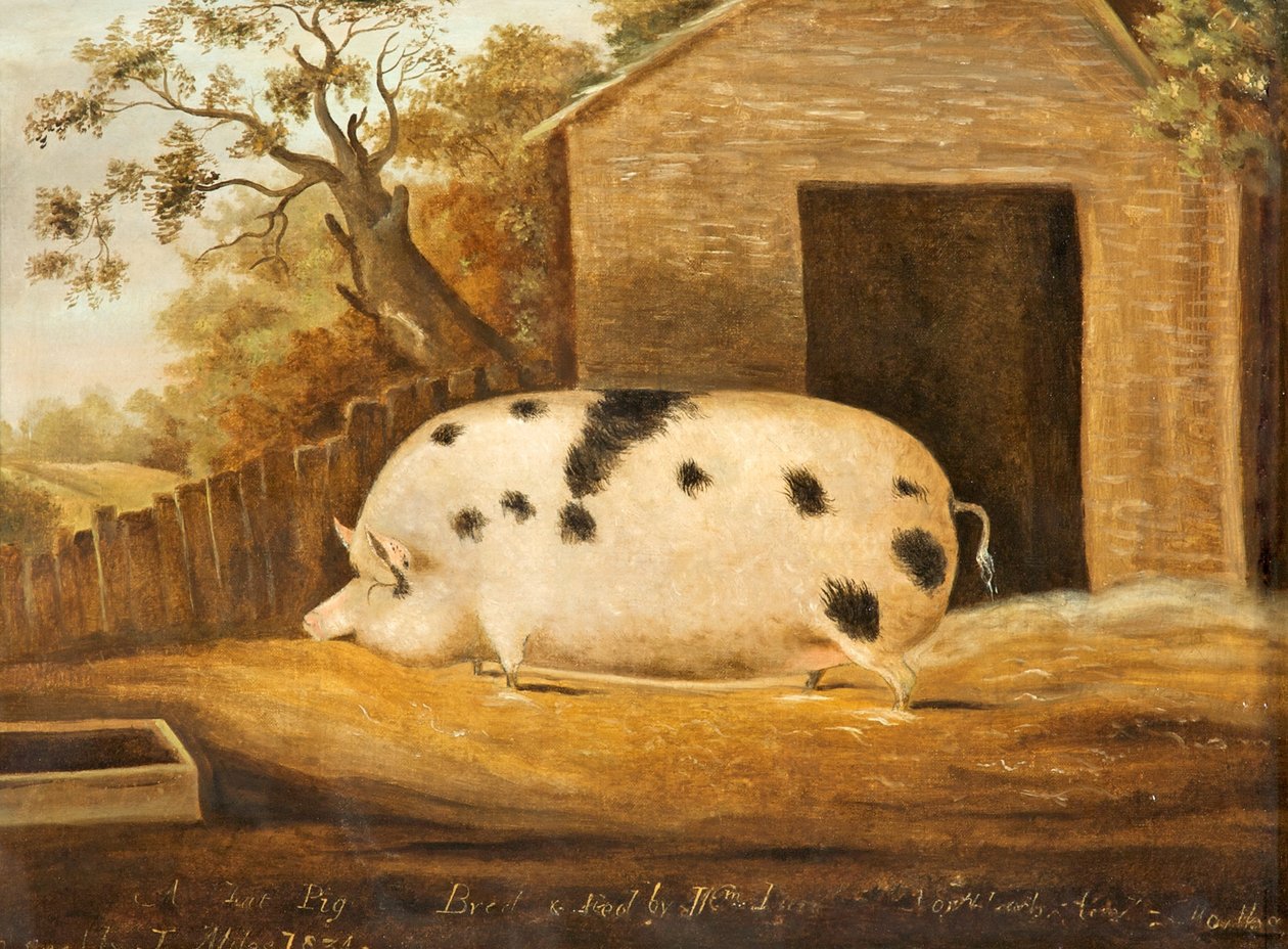 Gloucester Old Spot Pig, 1834 by John Miles of Northleach