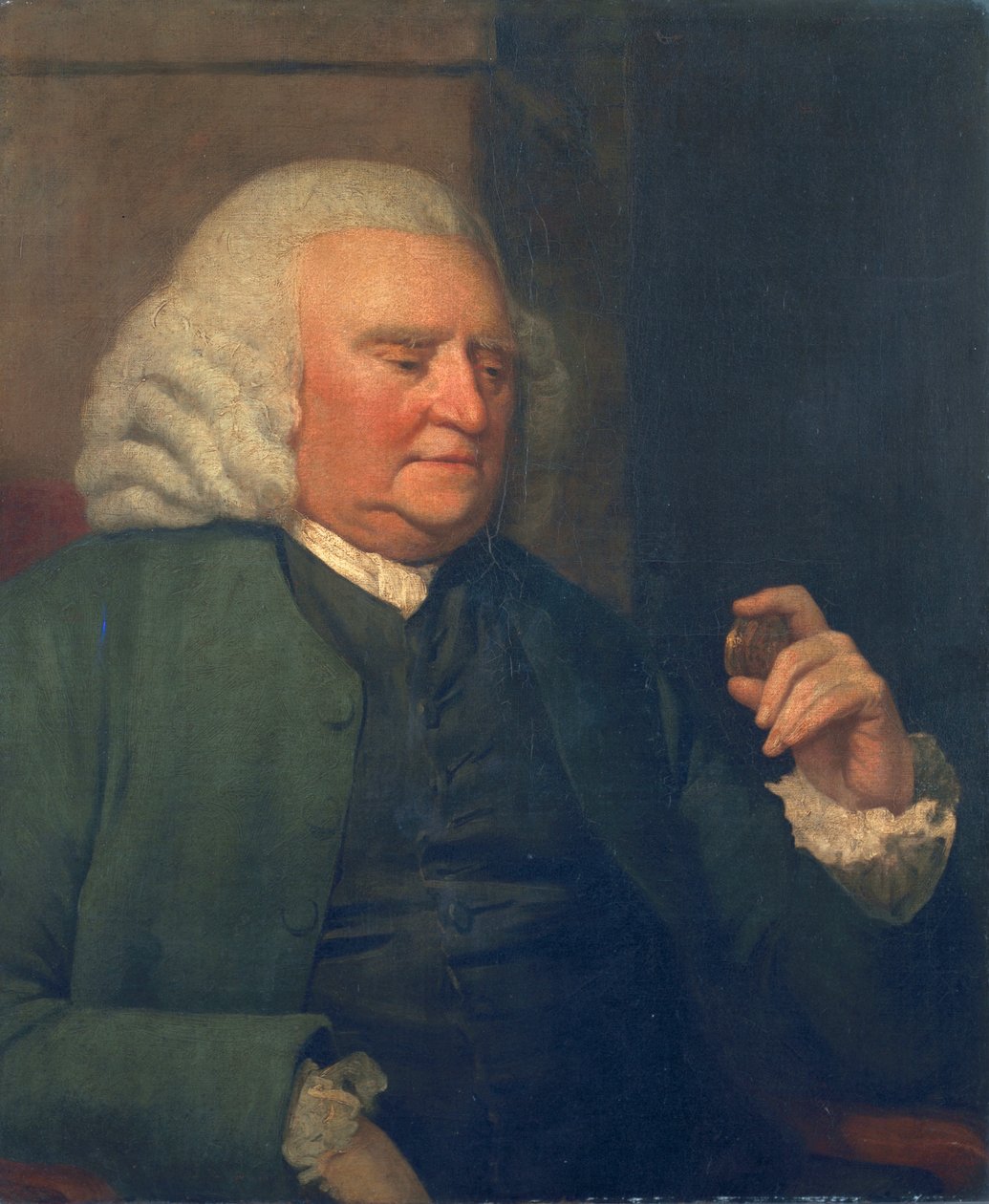 Unknown man, called Samuel Johnson by John Opie