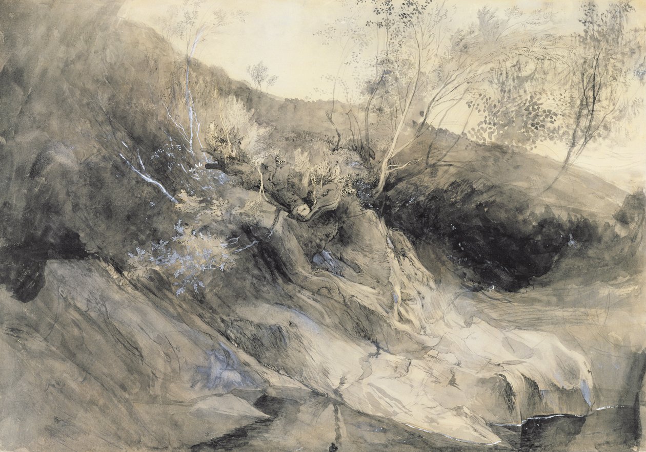 The Rocky Bank of a River - Verso: Sketch of Foliage by John Ruskin