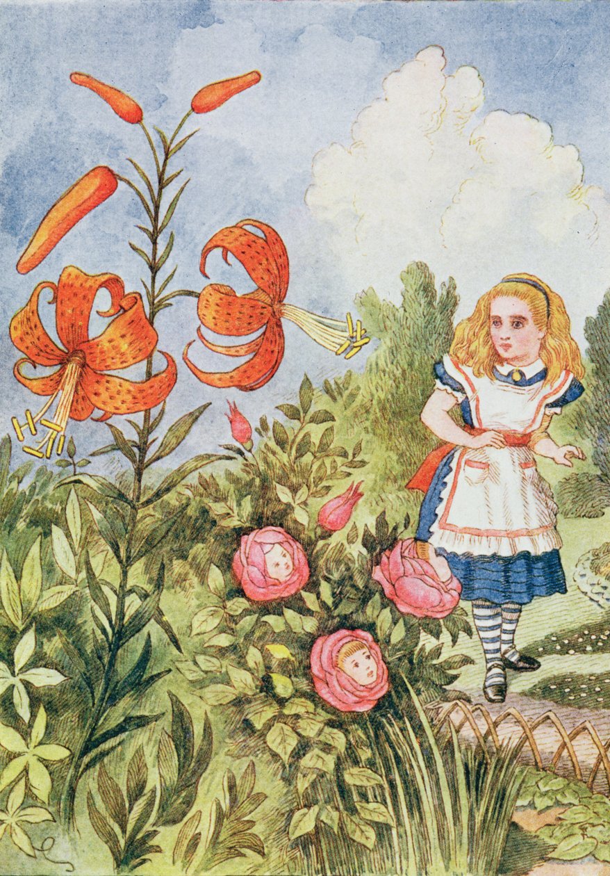 Tiger Lily, from 
