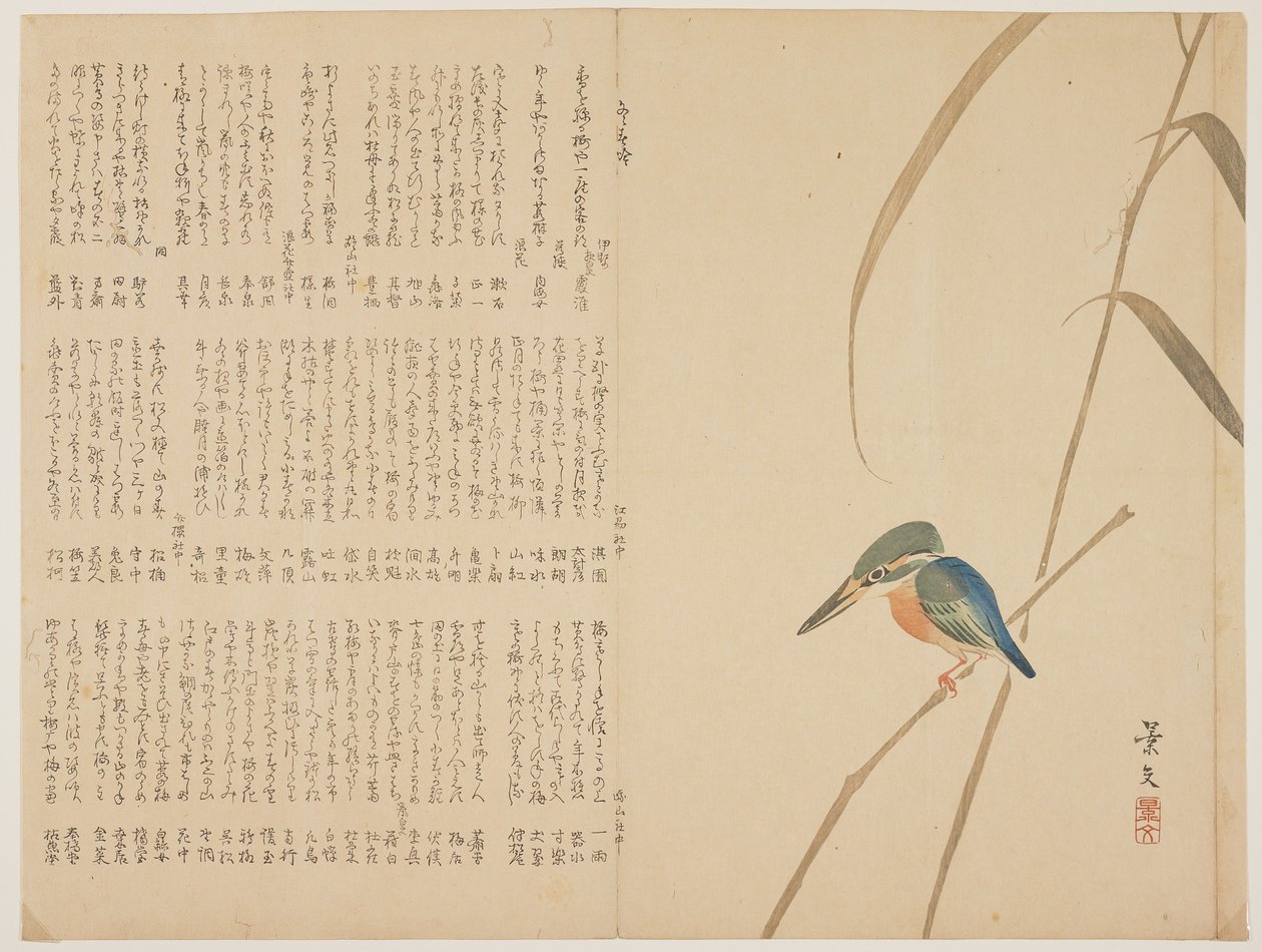 Kingfisher on Reed, c. 1818-1829