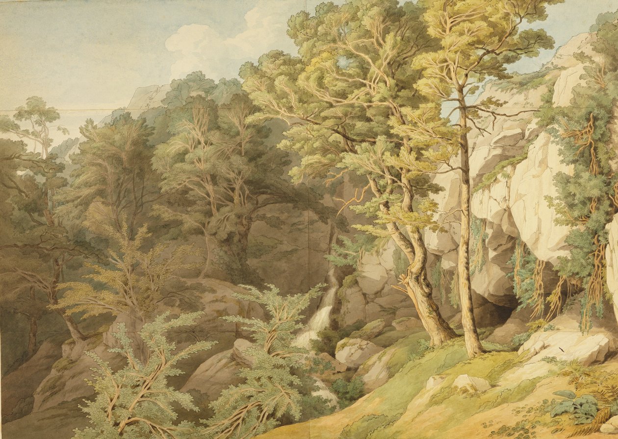 Canonteign, Devon, 1804 by John White Abbott