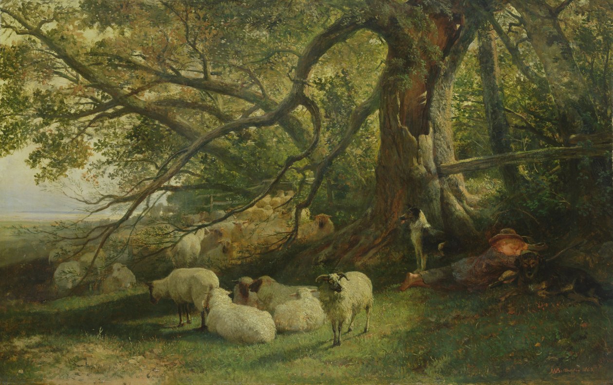 Resting Flock, 1863 by John William Bottomley