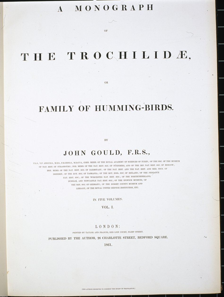Frontispiece by John (after) Gould