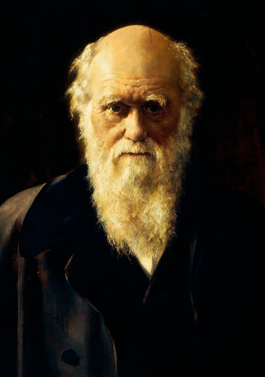 Portrait of Charles Darwin by John Collier: Fine art print