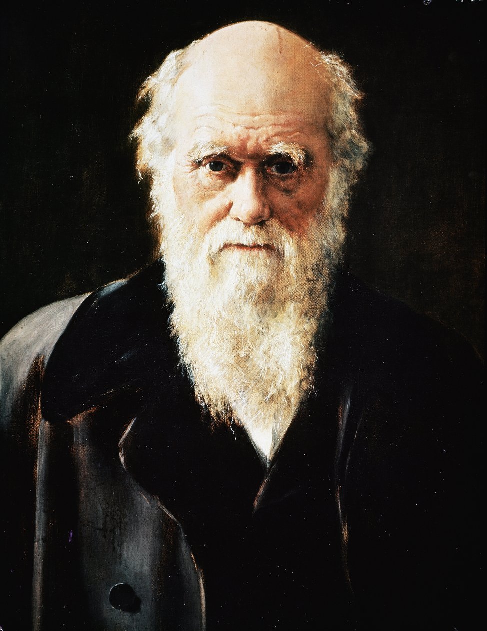 Portrait of Charles Darwin (Detail) by John Collier