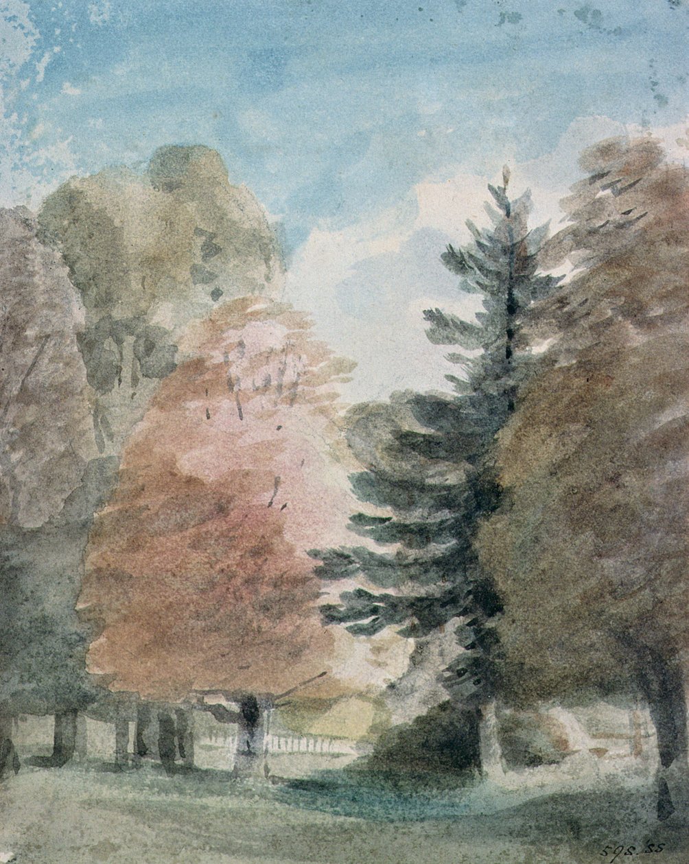 Study of Trees in a Park by John Constable: Fine art print