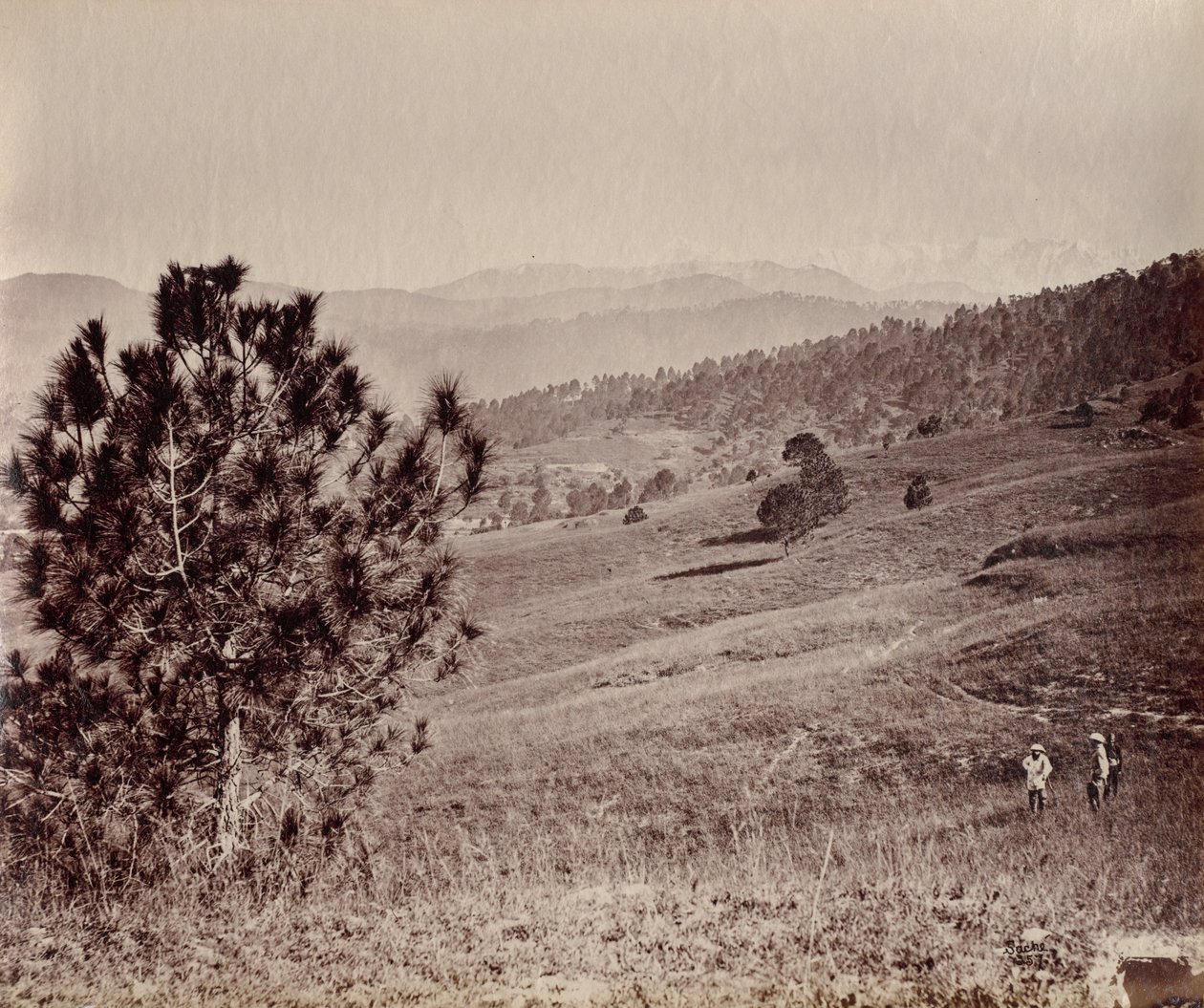 Landscape with Tree and Three Men, India by John Edward Saché