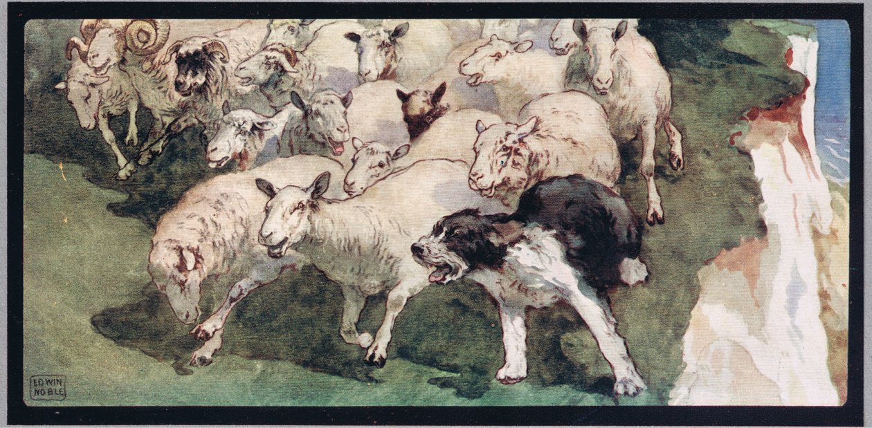 Bobtail sheepdog and flock on cliffs, illustration from 