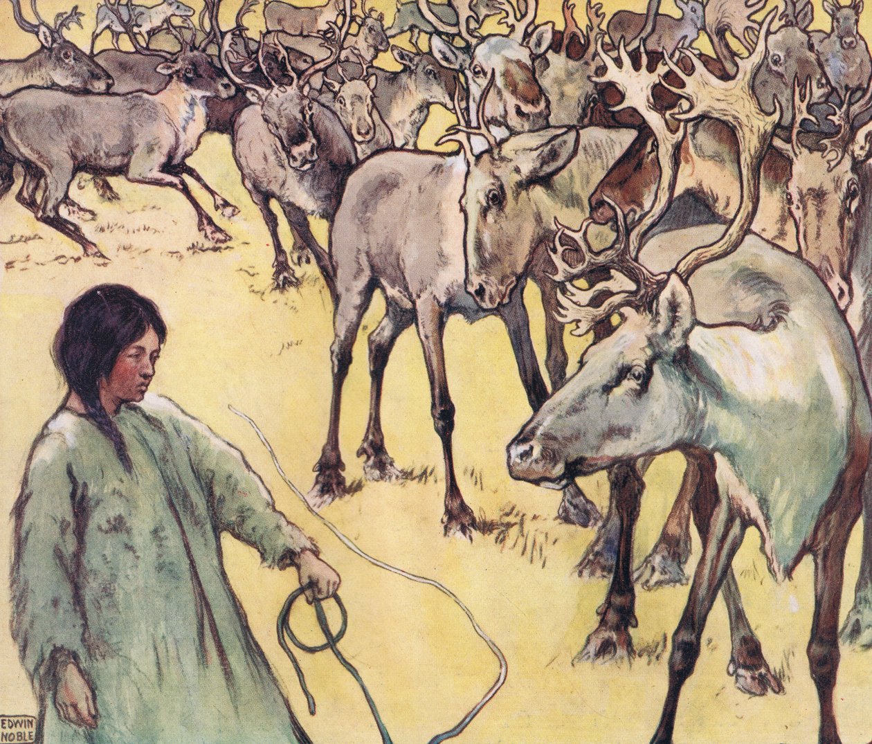 Moose herd, illustration from 