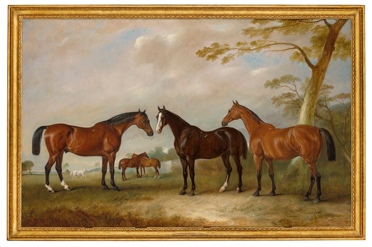 Intrepid, Conqueror and Bay Bolton with Silkman and Darnley beyond in a landscape by John Ferneley