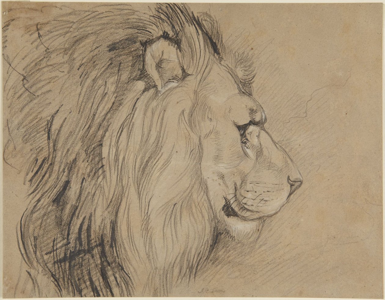 Lion by John Frederick Lewis