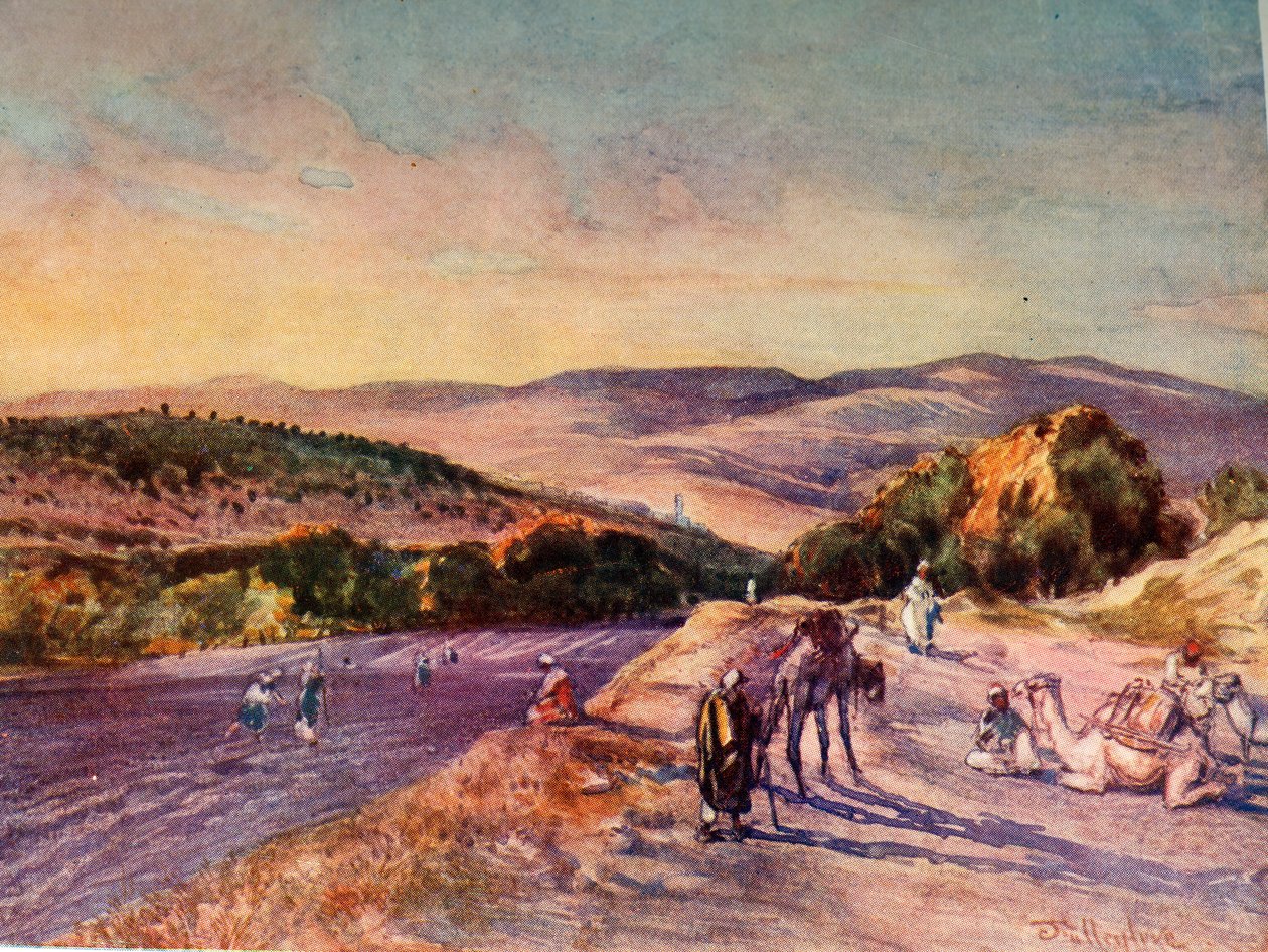 Site of the Ancient City of Samaria by John Fulleylove
