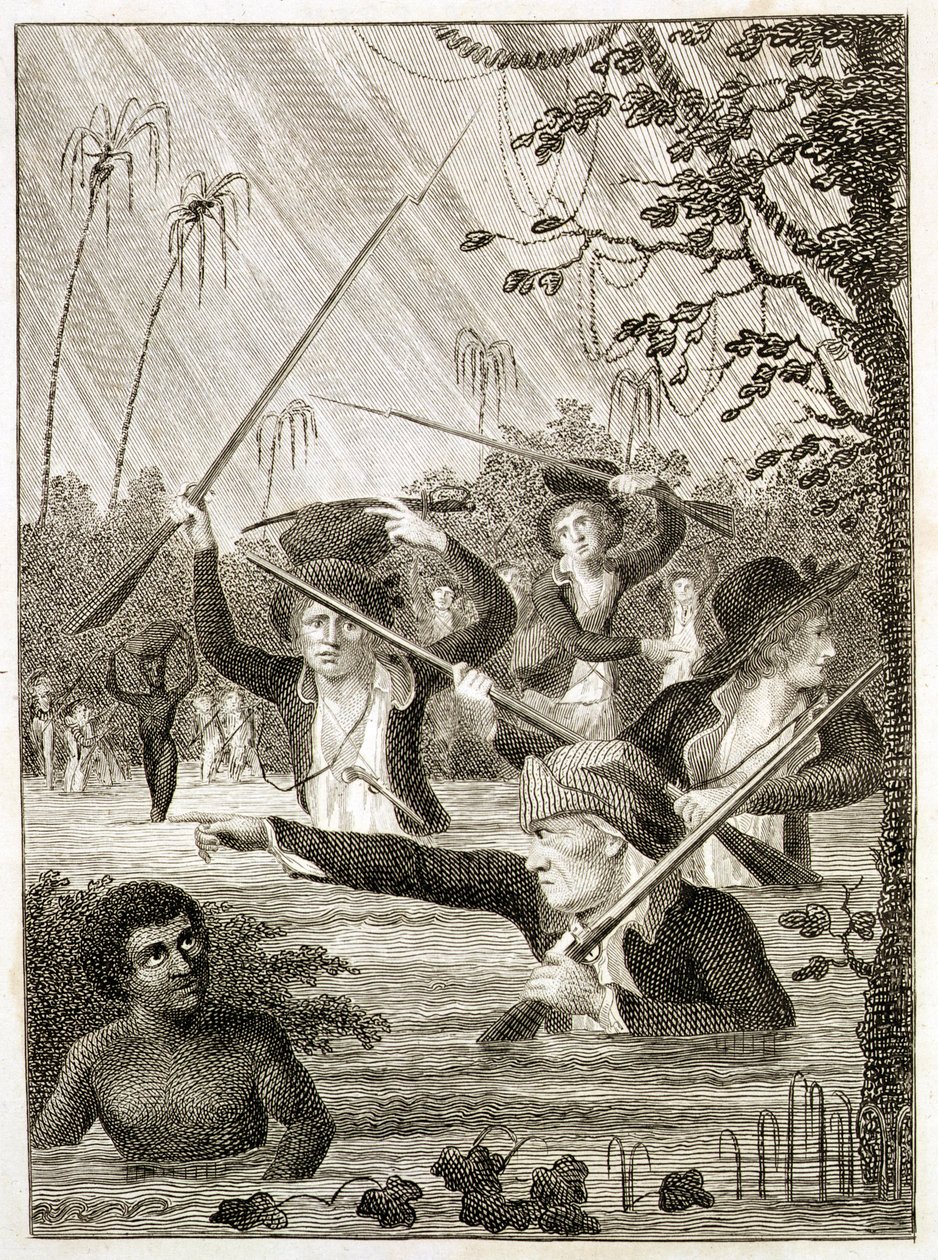 March through a Swamp or Marsh in Terra Firma by John Gabriel (after) Stedman