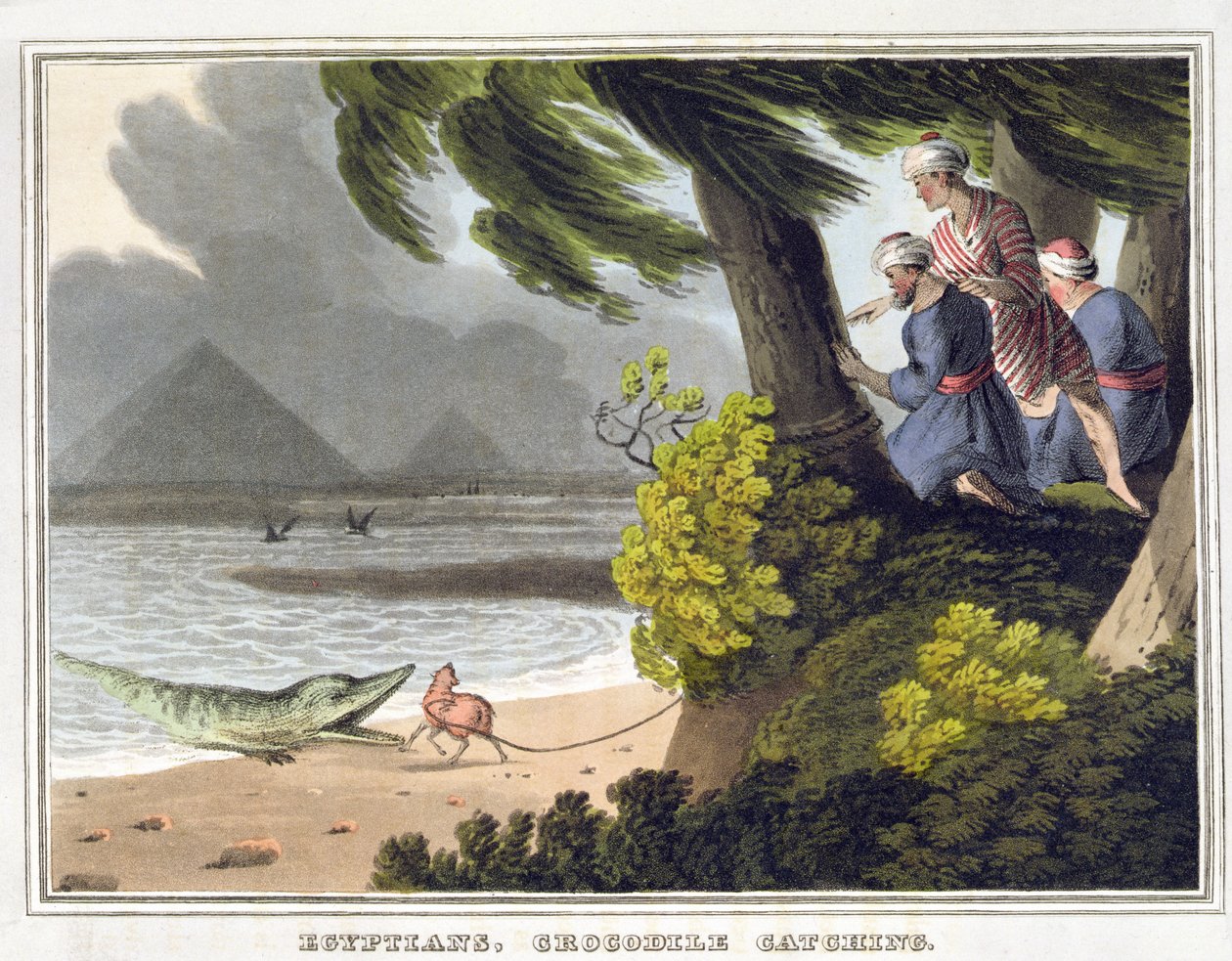 Egyptians Crocodile Catching, Engraved by Matthew Dubourg, Published by Edward Orme by John Heaviside (after) Clark