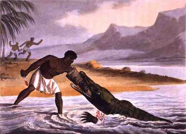 The African Crocodile Hunters, engraved by Matthew Dubourg, published by Edward Orme by John Heaviside (after) Clark