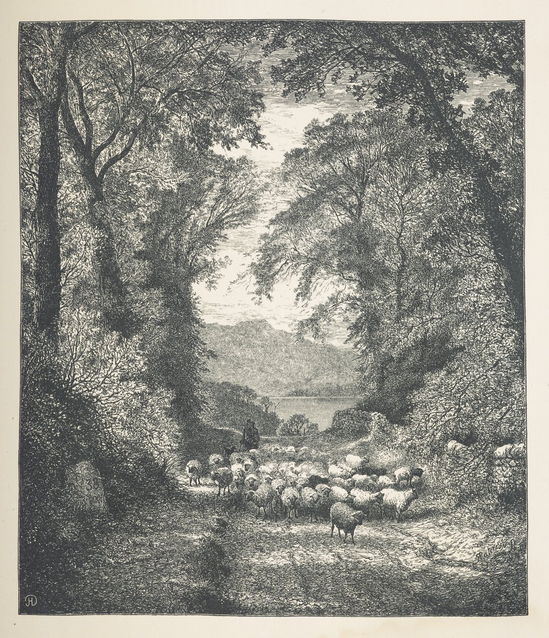 Sheep being driven by a shepherd, along a path, Nature Pictures. A series of thirty original illustrations drawn on wood by J. H. Dell, and engraved by R. Paterson by John Henry Dell