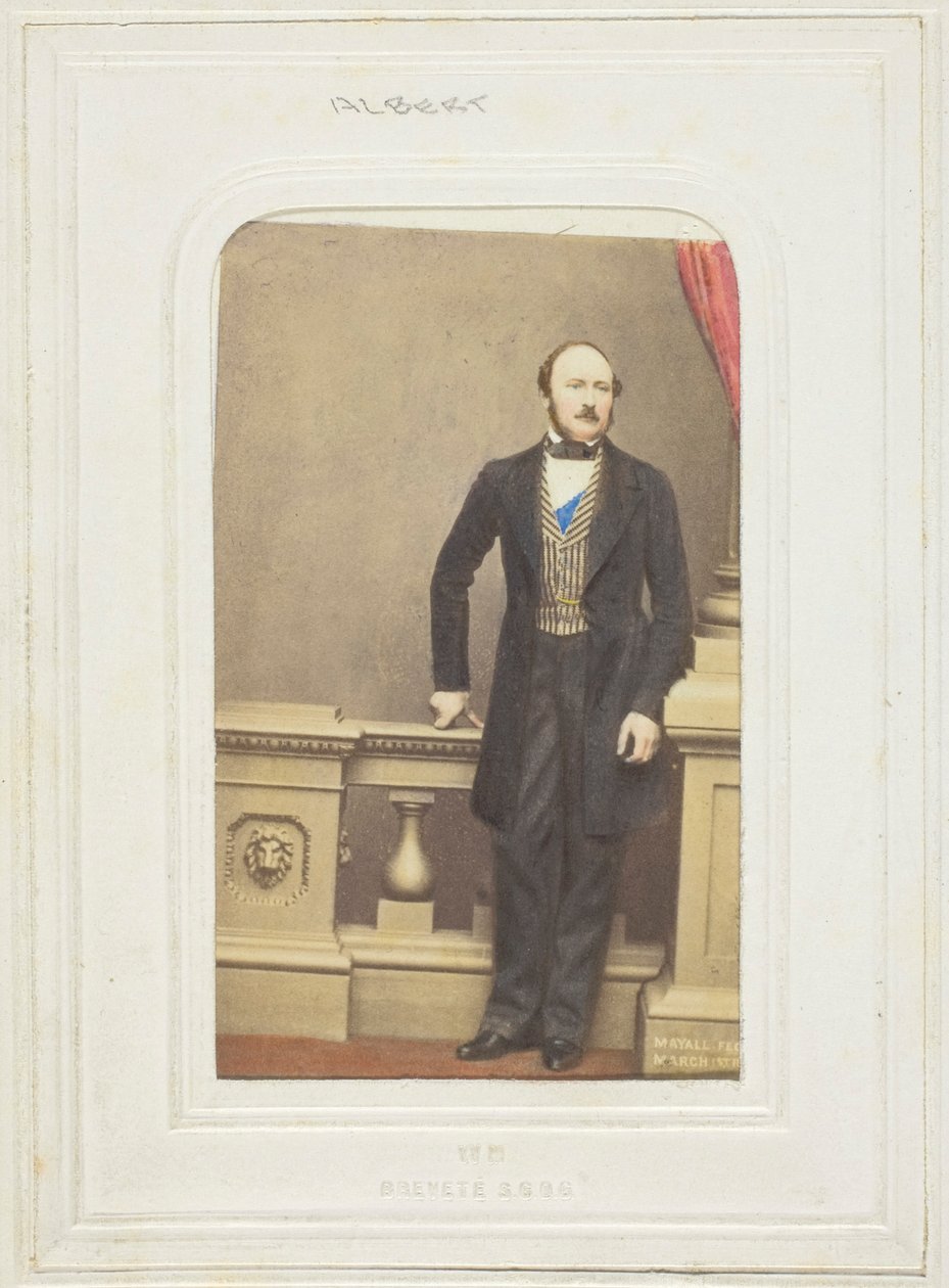 Prince Consort by John Jabez Edwin Mayall
