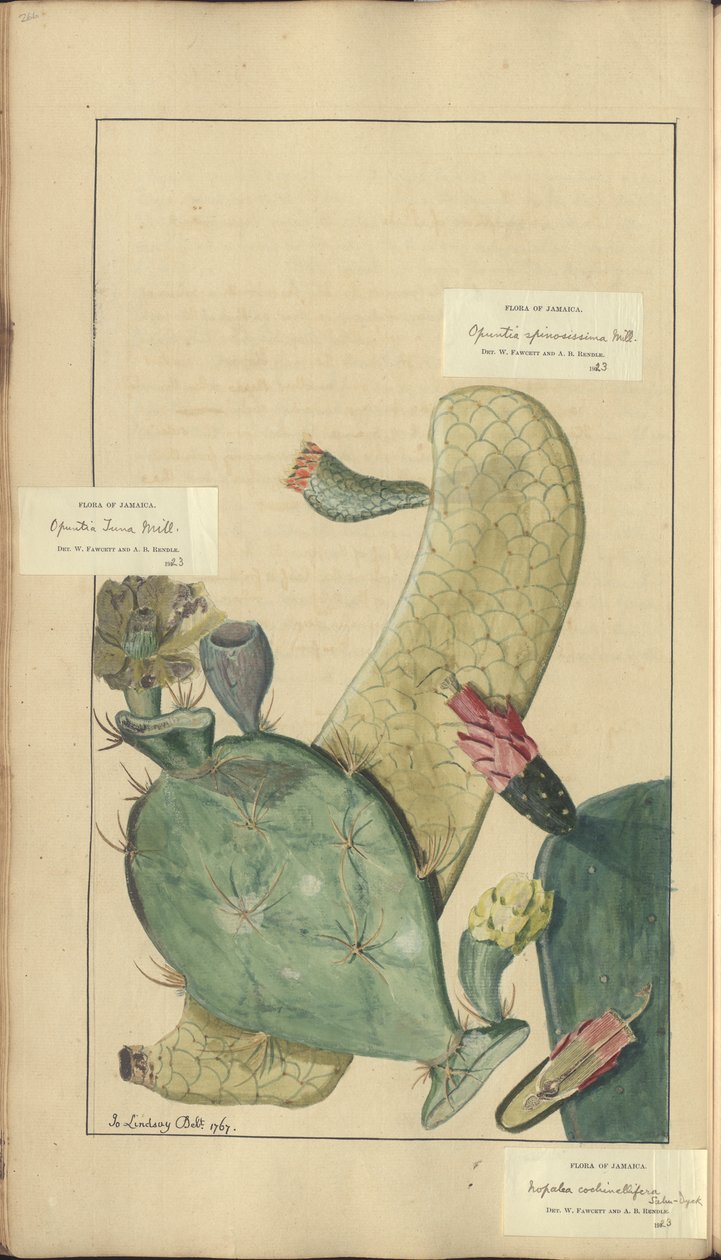 A page from the 