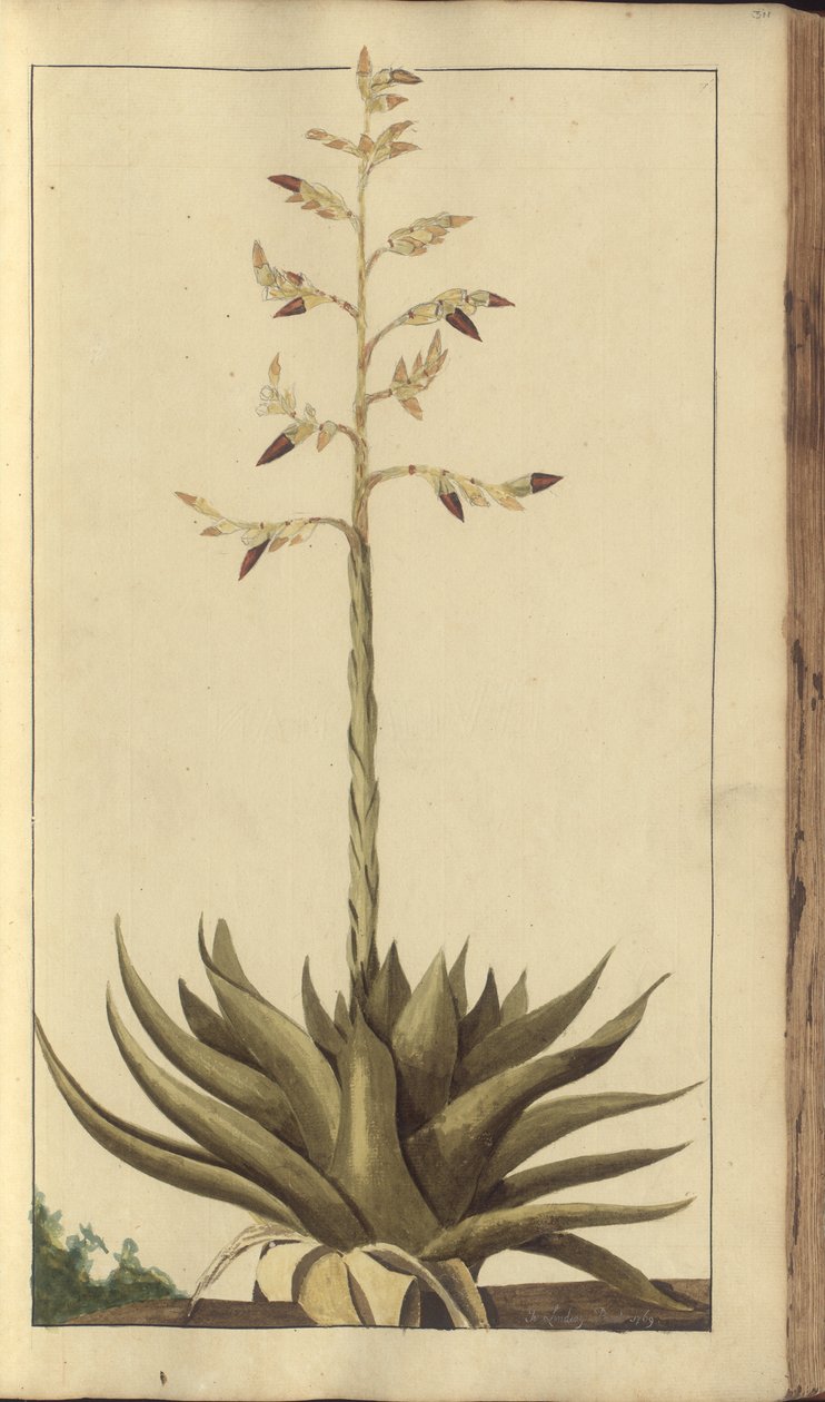 A page from the 