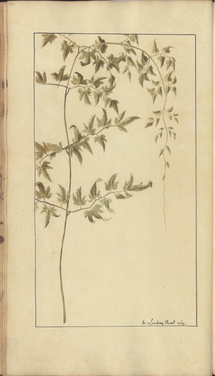 A page from the 