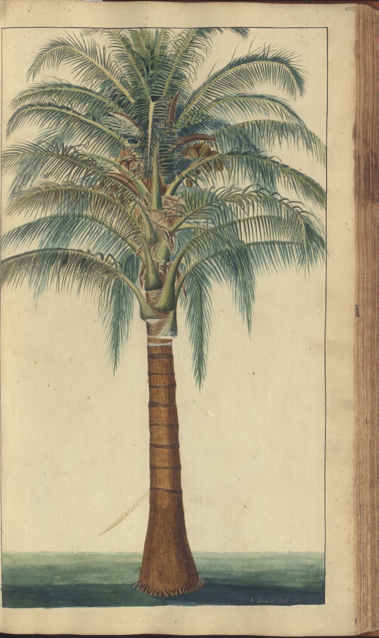 A Page from the 