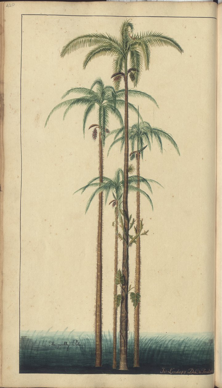 A page from the 